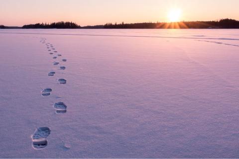 Footprints in the snow