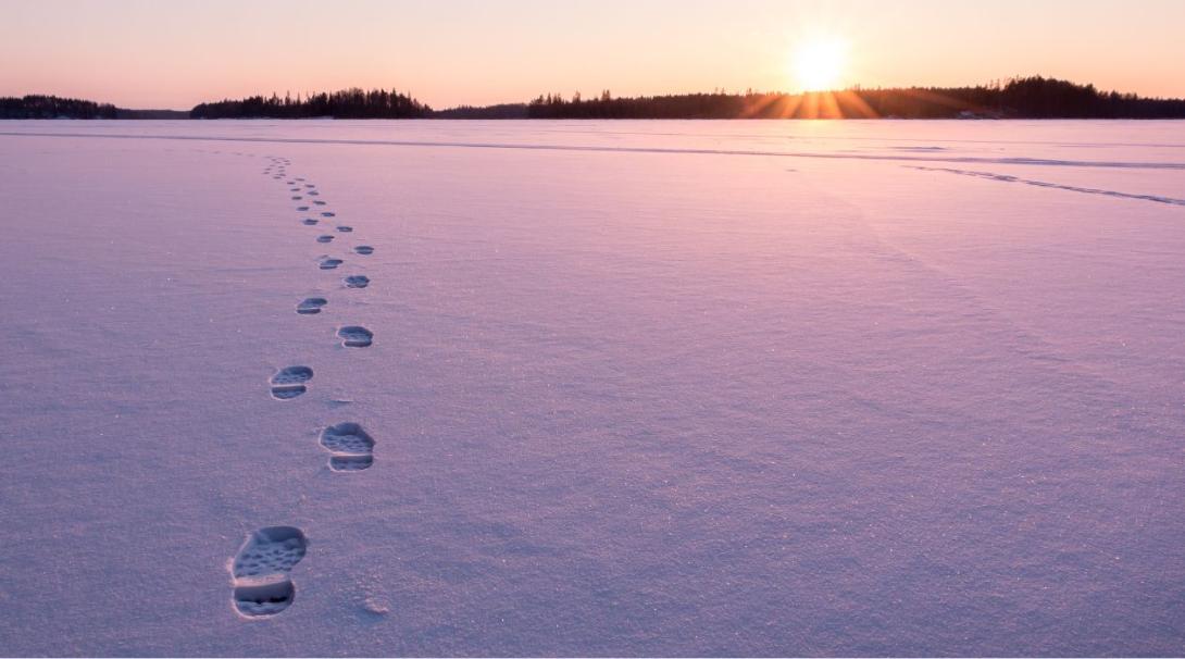 Footprints in the snow
