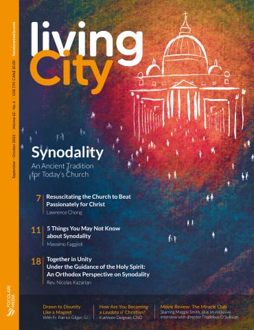 Sinodality Cover