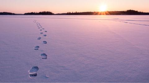 Footprints in the snow