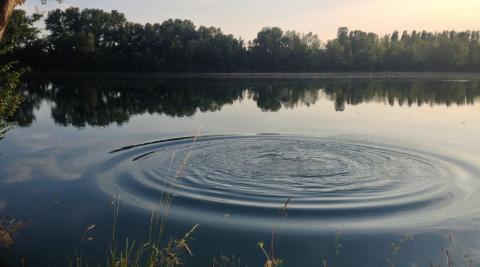 Ripple water effect