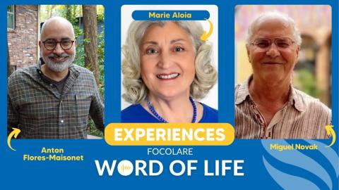 November Experiences Thumbnail