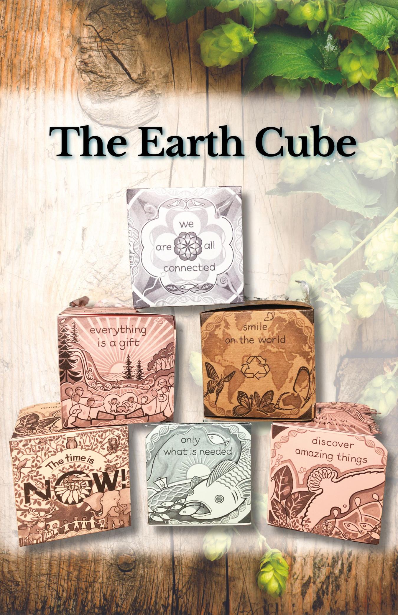 Earth cube cover