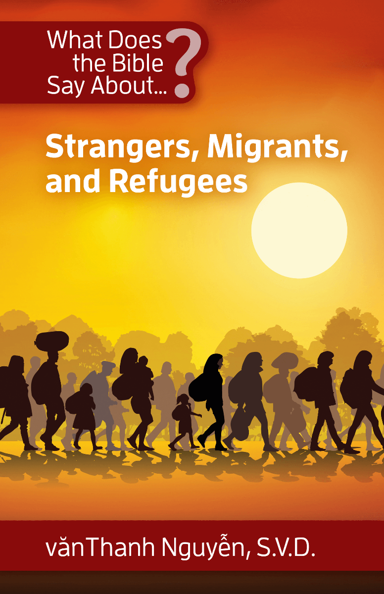 Cover image for