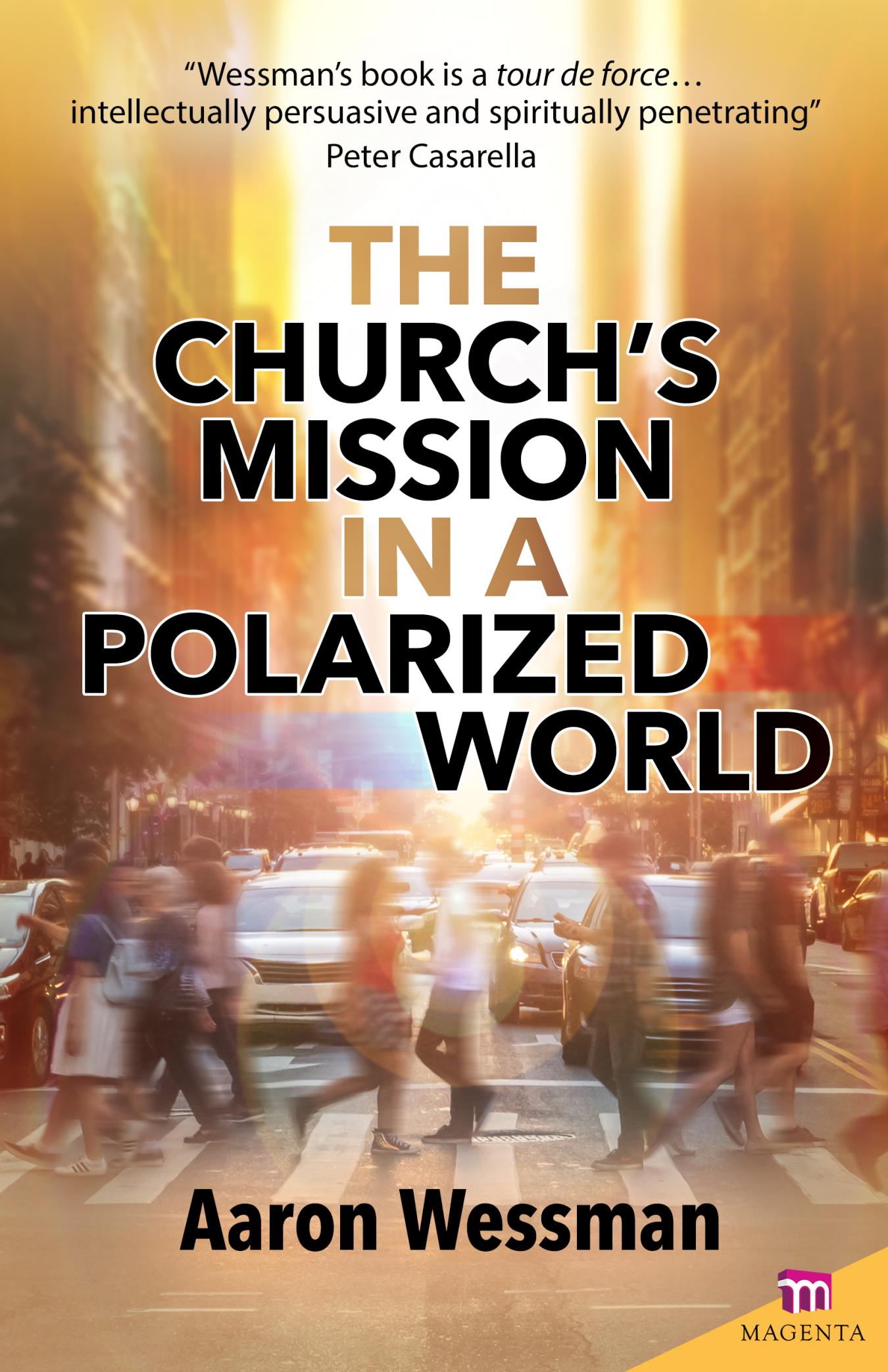 The Church's Mission in a Polarized World Cover